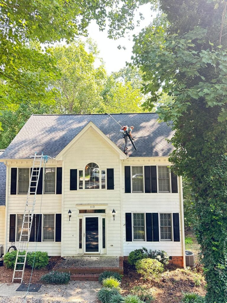 Roof Cleaning by Alba Pro Services