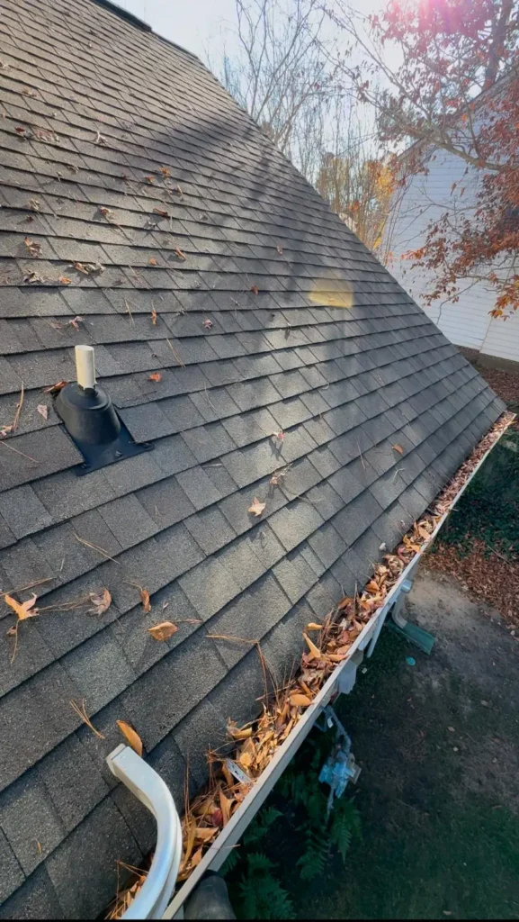 Gutters before Cleaning